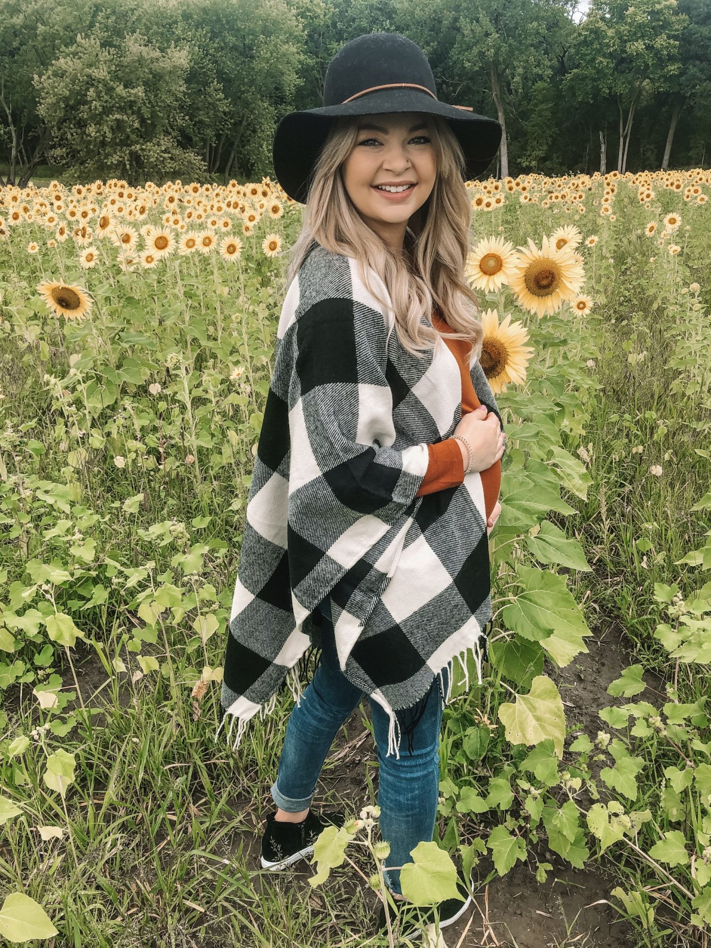 searching for sunflowers in chicago