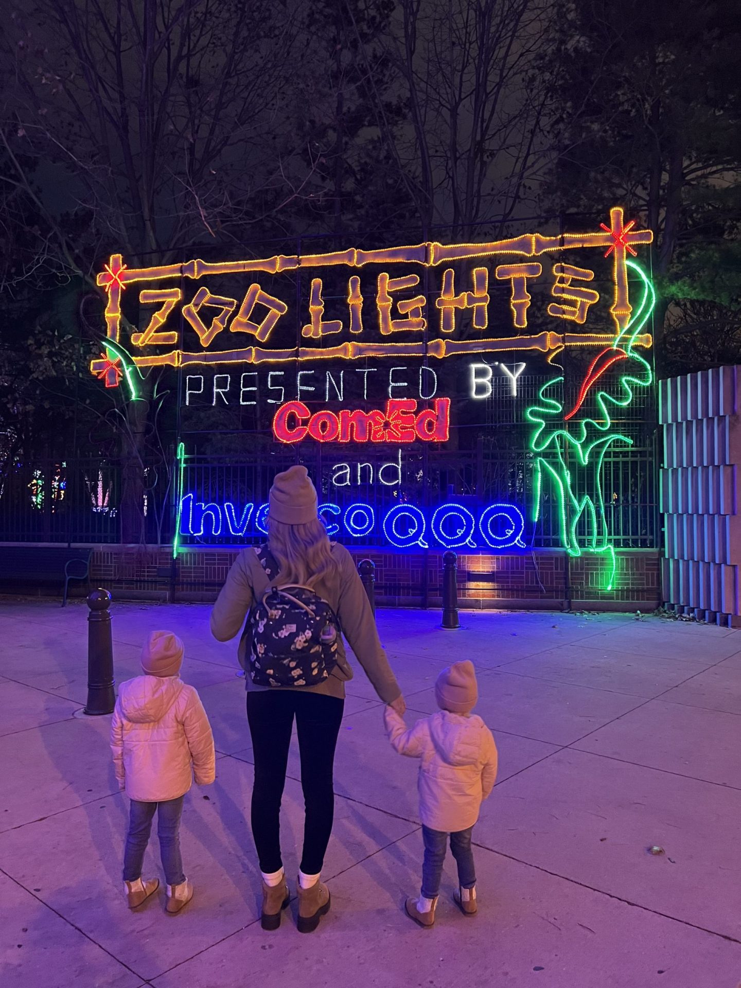 the best holiday activities in Chicago for the whole family